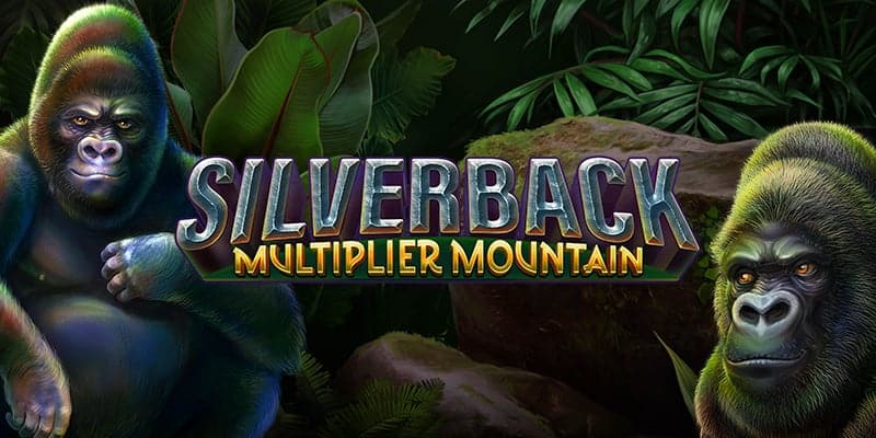 Silverback Multiplier Mountain